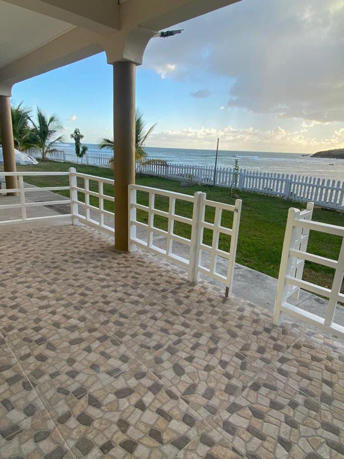 Sealavie Apartments - Grenada St. George's Extérieur photo